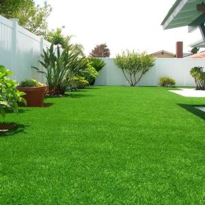 Porcelain Tea Cup Set